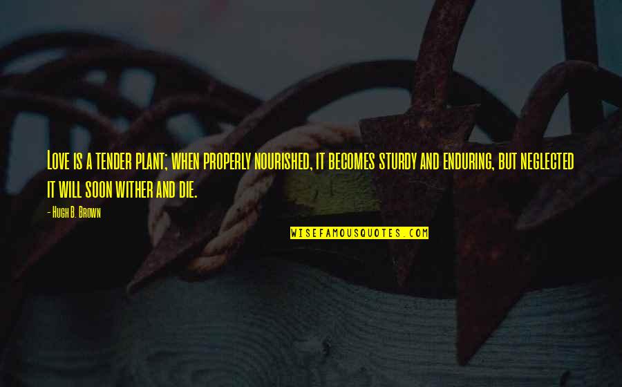 Die And Love Quotes By Hugh B. Brown: Love is a tender plant; when properly nourished, Die And Love Quotes By Hugh B. Brown: Love is a tender plant; when properly nourished,