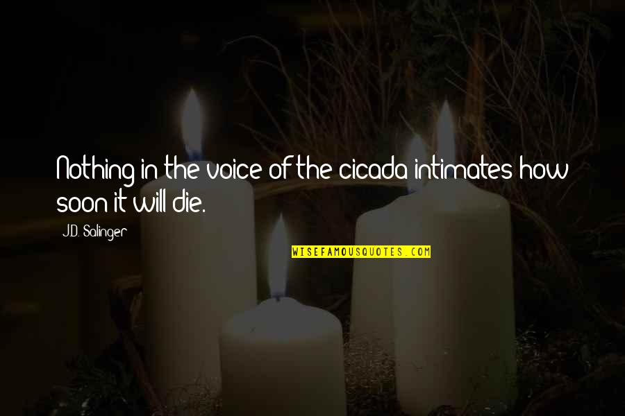 Die Soon Quotes By J.D. Salinger: Nothing in the voice of the cicada intimates