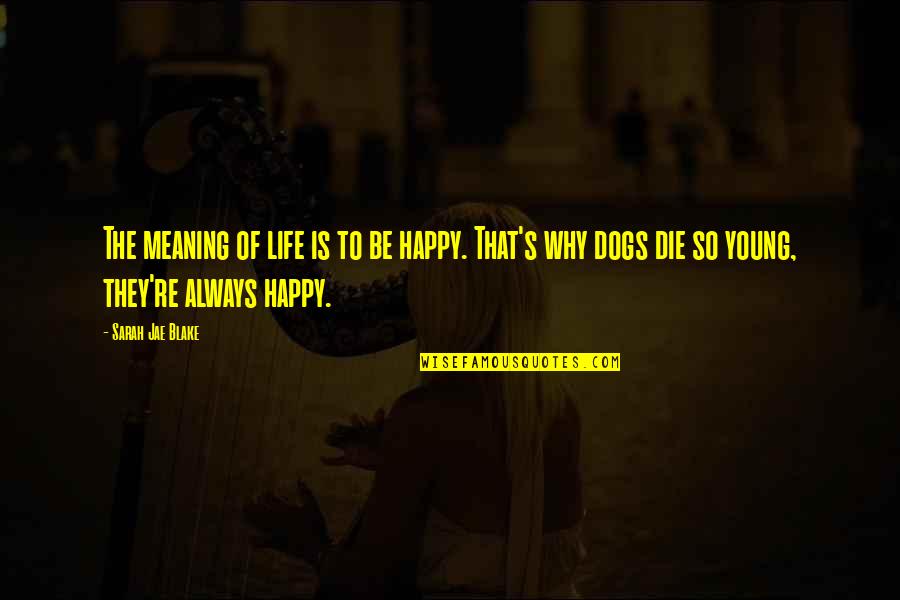 Die Young Quotes By Sarah Jae Blake: The meaning of life is to be happy.