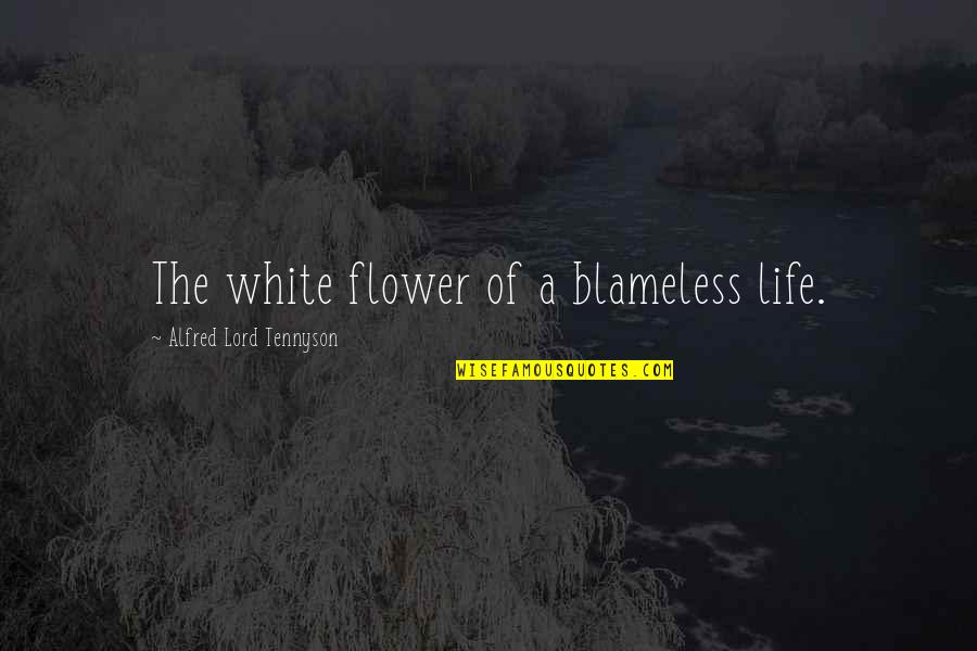 Diebold Quotes By Alfred Lord Tennyson: The white flower of a blameless life.