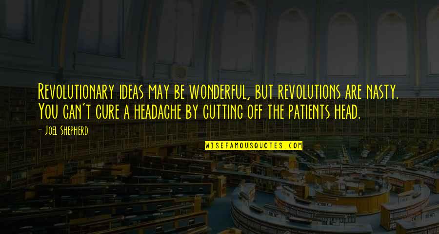 Died And Came Quotes By Joel Shepherd: Revolutionary ideas may be wonderful, but revolutions are