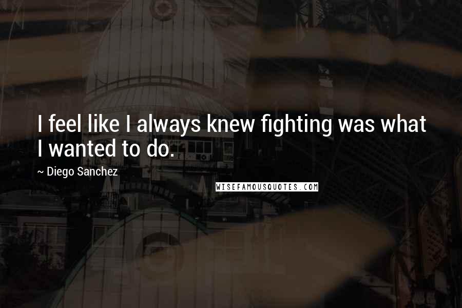 Diego Sanchez quotes: I feel like I always knew fighting was what I wanted to do.