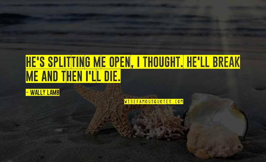 Die'll Quotes By Wally Lamb: He's splitting me open, I thought. He'll break