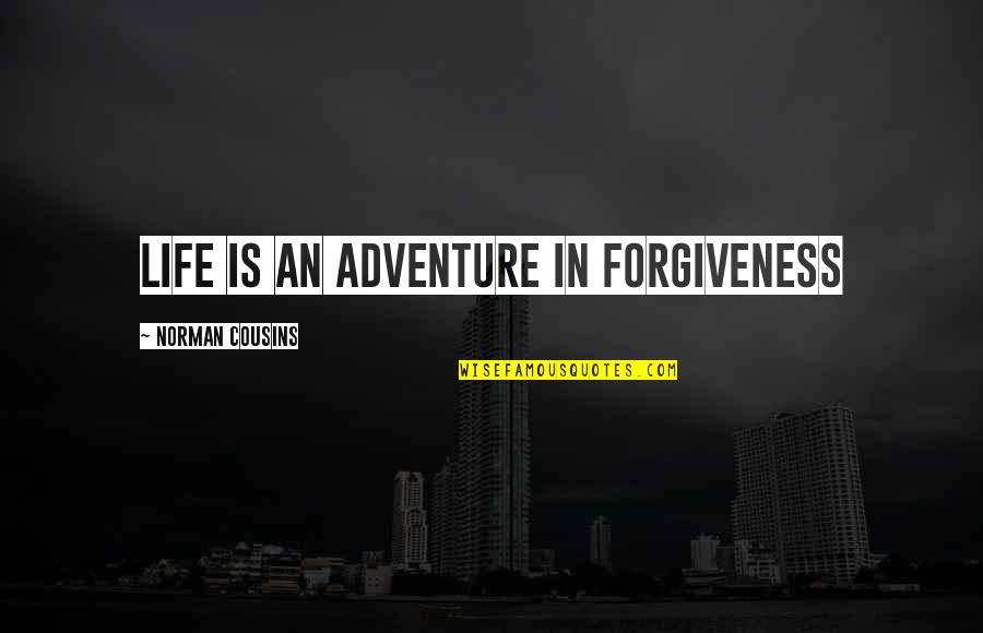 Dielle Fleischmann Quotes By Norman Cousins: Life is an adventure in forgiveness