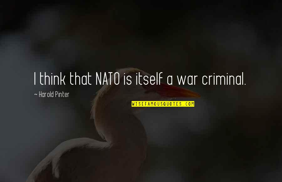Dieltiens B B Quotes By Harold Pinter: I think that NATO is itself a war Dieltiens B B Quotes By Harold Pinter: I think that NATO is itself a war