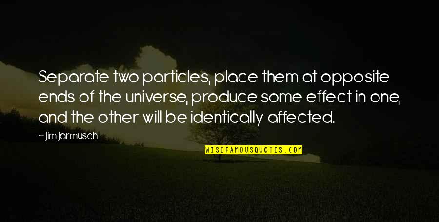 Diemontour Quotes By Jim Jarmusch: Separate two particles, place them at opposite ends Diemontour Quotes By Jim Jarmusch: Separate two particles, place them at opposite ends