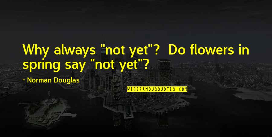 Diem's Quotes By Norman Douglas: Why always "not yet"? Do flowers in spring Diem's Quotes By Norman Douglas: Why always "not yet"? Do flowers in spring