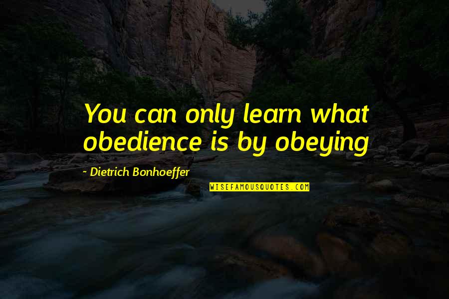 Diependaalweg Quotes By Dietrich Bonhoeffer: You can only learn what obedience is by