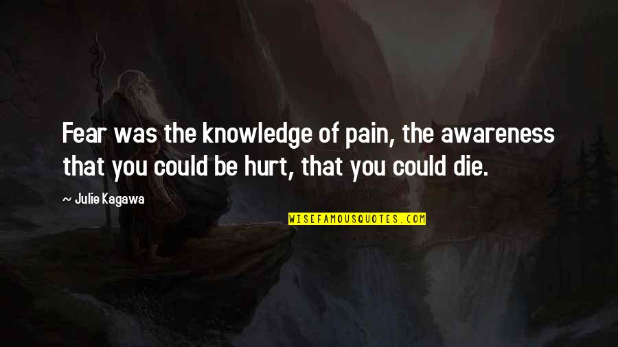 Diependaele Ninove Quotes By Julie Kagawa: Fear was the knowledge of pain, the awareness