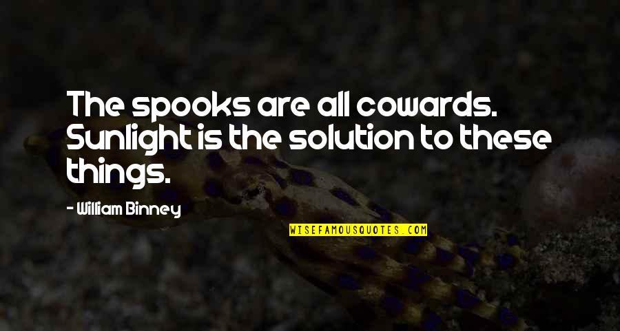 Dierendonck St Quotes By William Binney: The spooks are all cowards. Sunlight is the