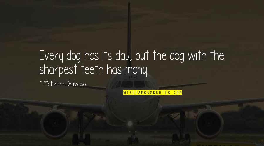 Diermeier Cham Quotes By Matshona Dhliwayo: Every dog has its day, but the dog