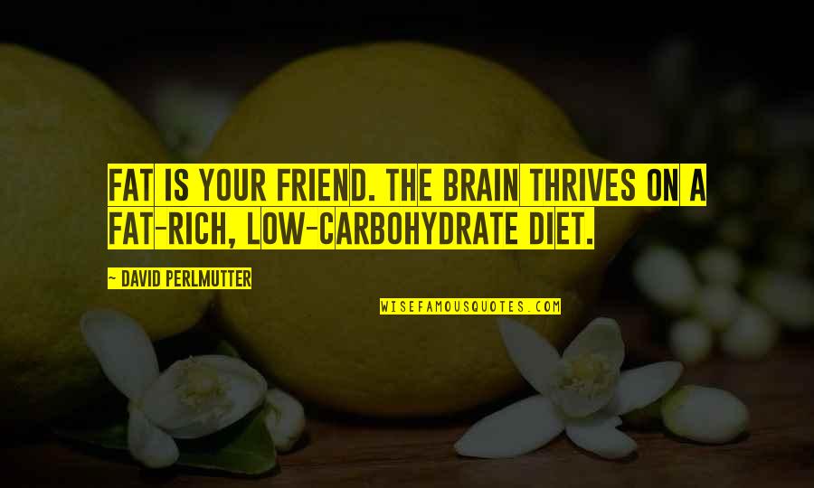 Diet Quotes By David Perlmutter: Fat is your friend. The brain thrives on