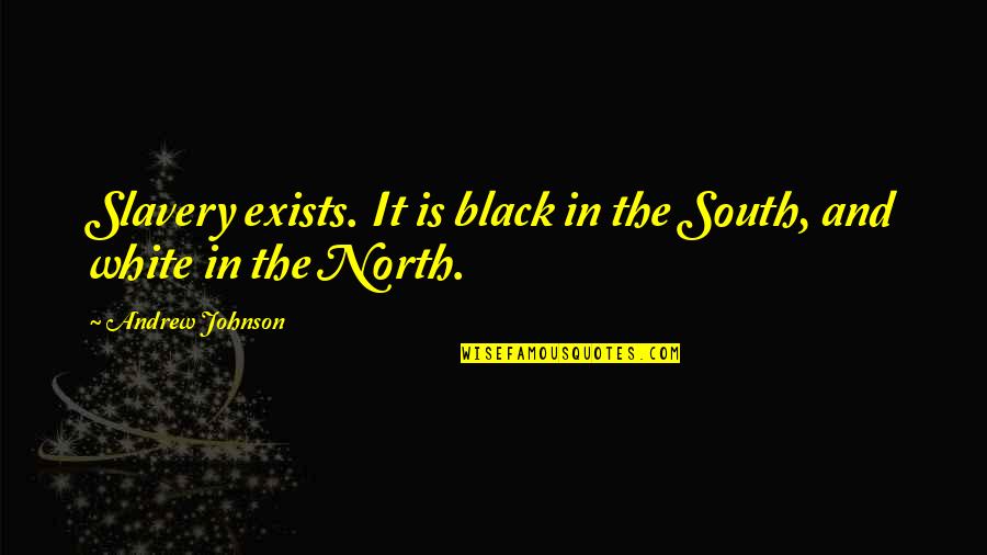 Dieting Inspirational Quotes By Andrew Johnson: Slavery exists. It is black in the South,