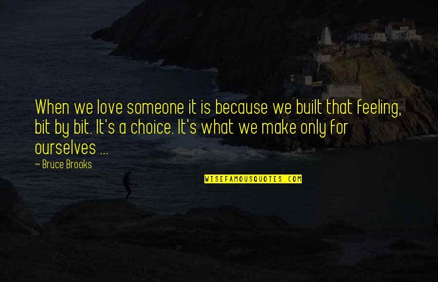 Dietramous Earth Quotes By Bruce Brooks: When we love someone it is because we Dietramous Earth Quotes By Bruce Brooks: When we love someone it is because we