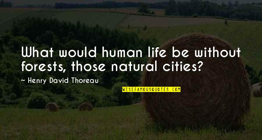Diets Funny Quotes By Henry David Thoreau: What would human life be without forests, those