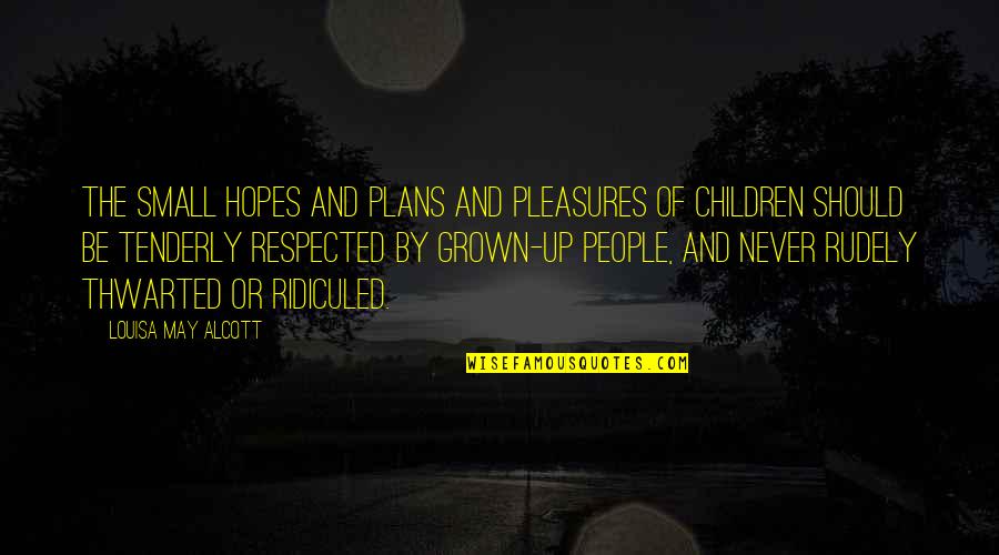 Diety Quotes By Louisa May Alcott: The small hopes and plans and pleasures of