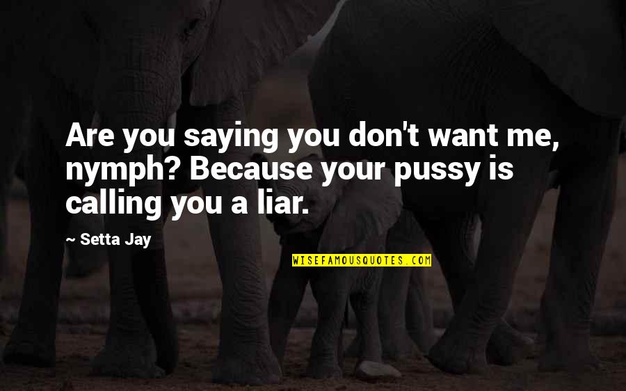 Dietzen Quotes By Setta Jay: Are you saying you don't want me, nymph?