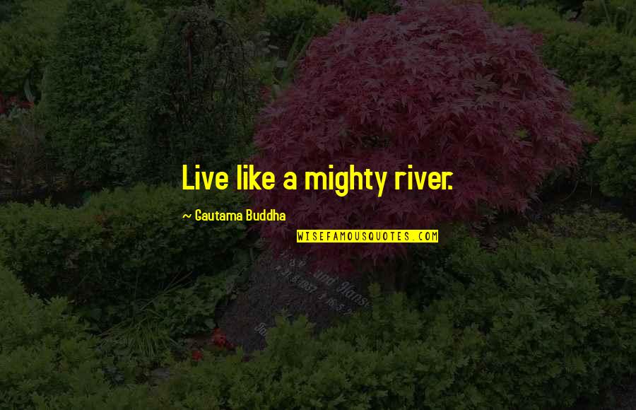 Difabios Casapela Quotes By Gautama Buddha: Live like a mighty river. Difabios Casapela Quotes By Gautama Buddha: Live like a mighty river.