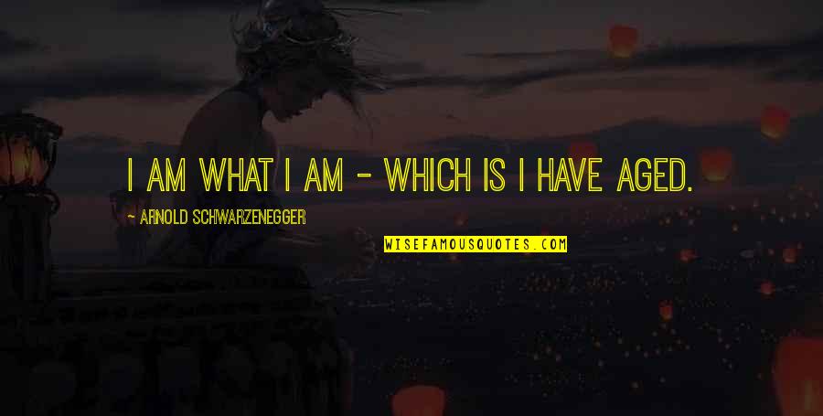 Diffamazione Articolo Quotes By Arnold Schwarzenegger: I am what I am - which is