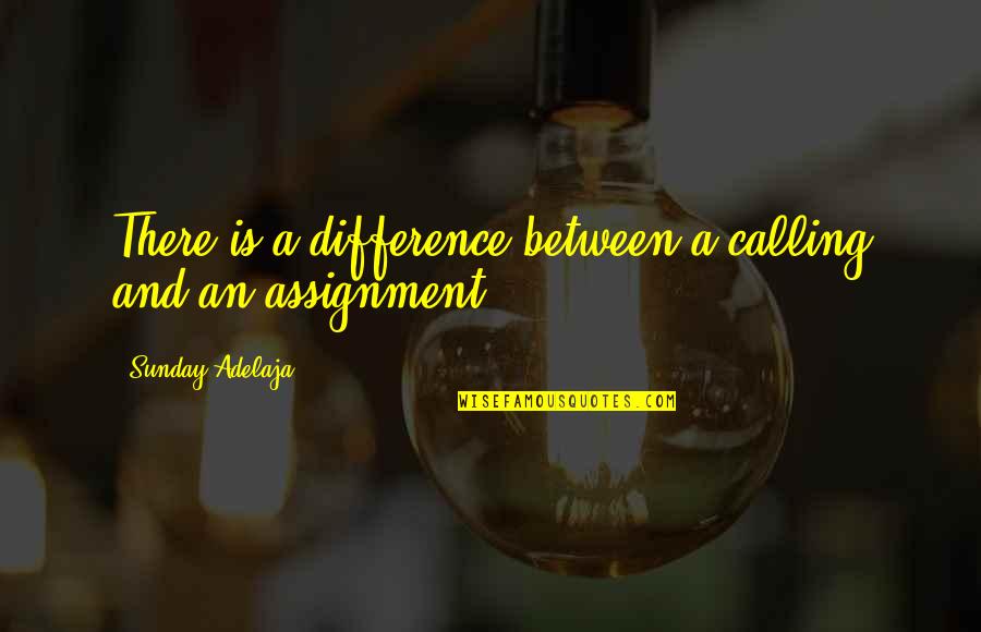 Difference An Quotes By Sunday Adelaja: There is a difference between a calling and Difference An Quotes By Sunday Adelaja: There is a difference between a calling and