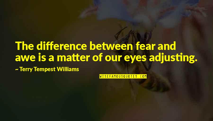 Difference Between Quotes By Terry Tempest Williams: The difference between fear and awe is a