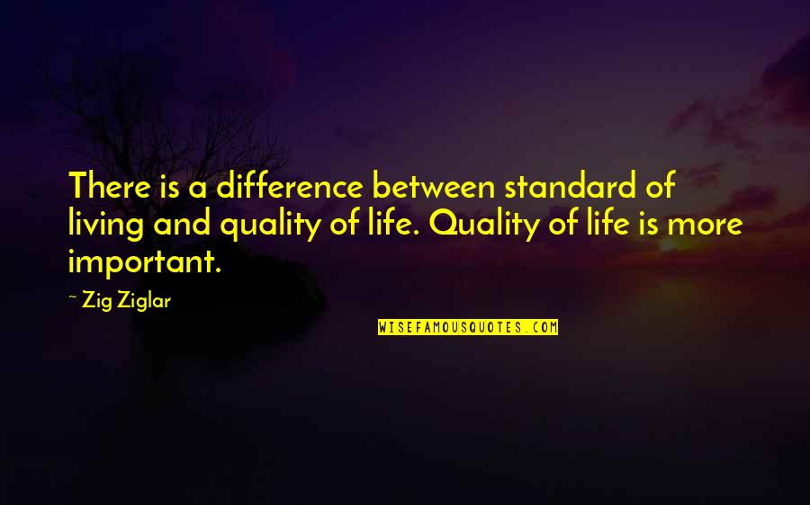 Difference Between Quotes By Zig Ziglar: There is a difference between standard of living