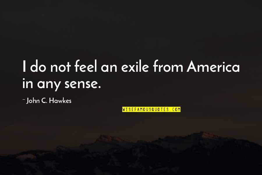 Difference Between Rich And Poor Quotes By John C. Hawkes: I do not feel an exile from America