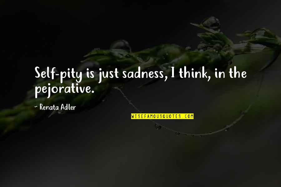 Difference Between Wisdom And Intelligence Quotes By Renata Adler: Self-pity is just sadness, I think, in the