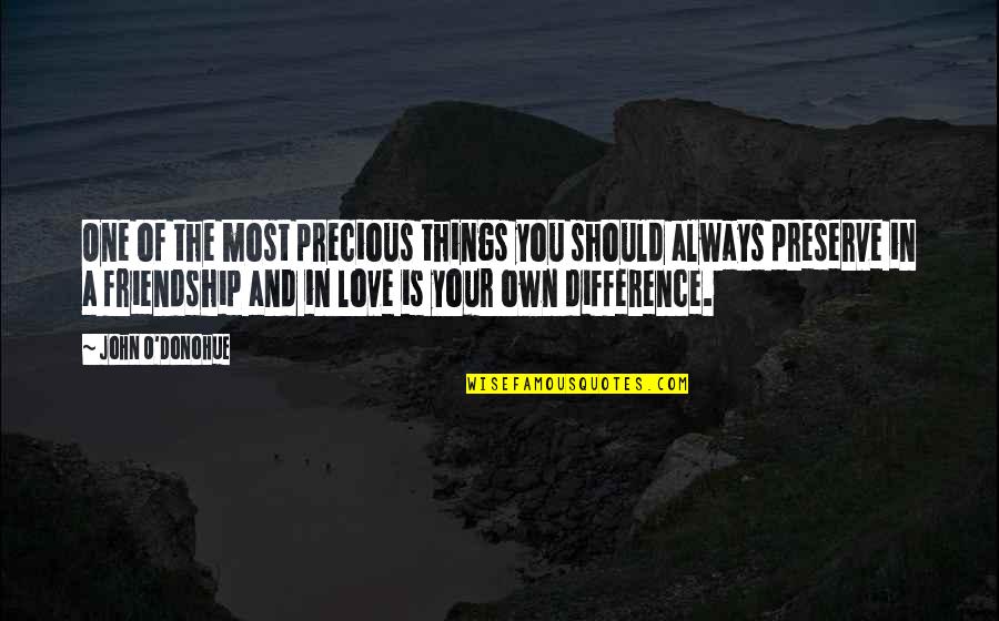 Difference Friendship Quotes By John O'Donohue: One of the most precious things you should