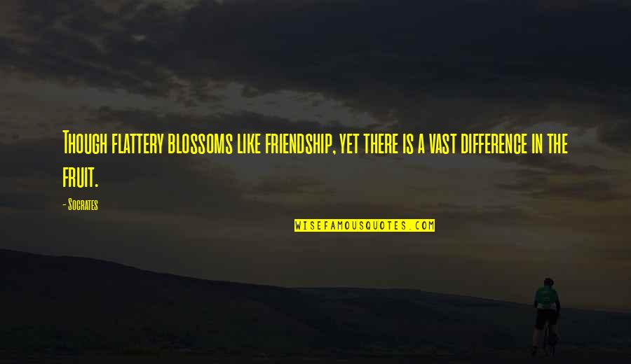 Difference Friendship Quotes By Socrates: Though flattery blossoms like friendship, yet there is