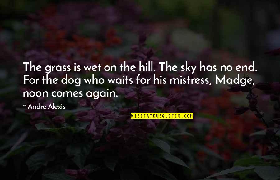 Different Angle Quotes By Andre Alexis: The grass is wet on the hill. The