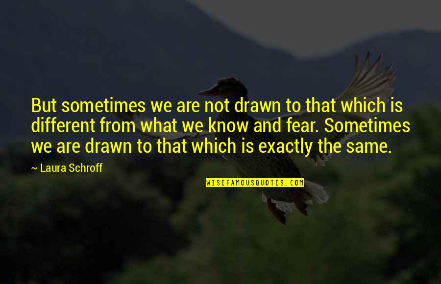 Different But Same Quotes By Laura Schroff: But sometimes we are not drawn to that