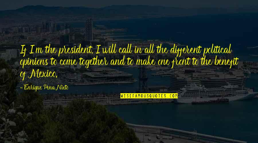 Different But Together Quotes By Enrique Pena Nieto: If I'm the president, I will call in