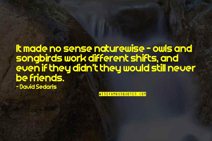 Different Friends Quotes By David Sedaris: It made no sense naturewise - owls and Different Friends Quotes By David Sedaris: It made no sense naturewise - owls and