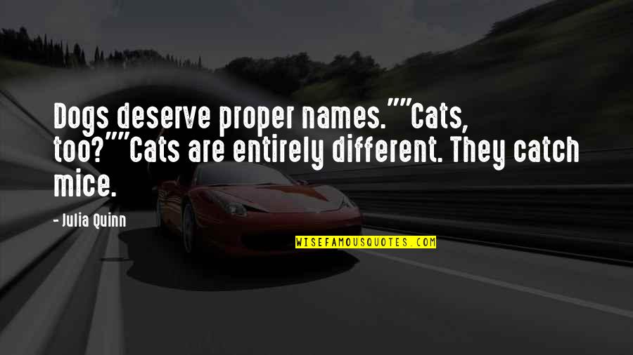 Different I Love You Quotes By Julia Quinn: Dogs deserve proper names.""Cats, too?""Cats are entirely different.