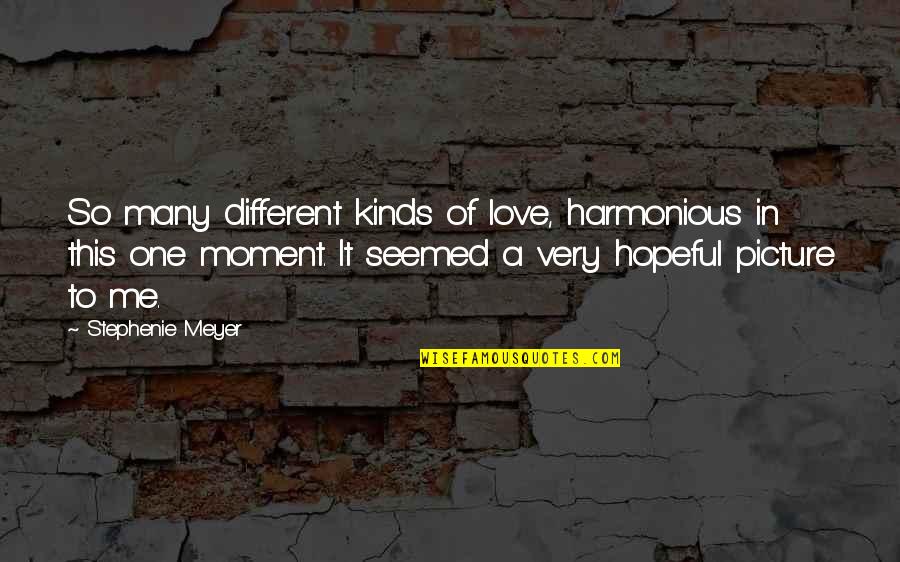 Different Kinds Of Love Quotes By Stephenie Meyer: So many different kinds of love, harmonious in