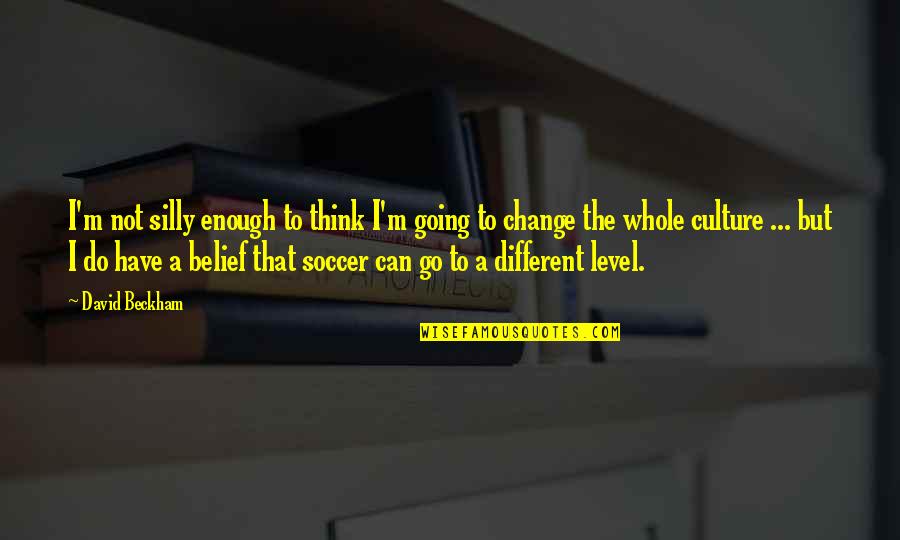 Different Level Quotes By David Beckham: I'm not silly enough to think I'm going