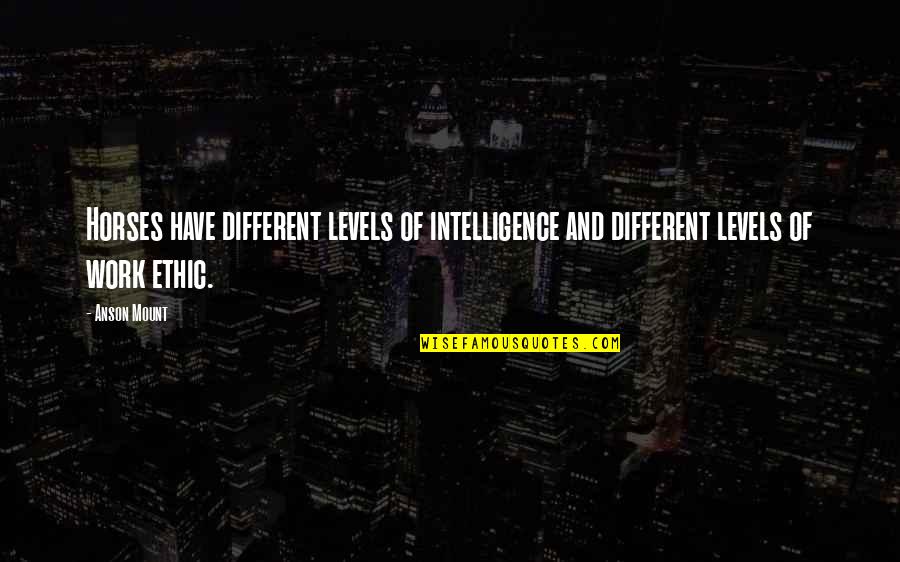 Different Levels Quotes By Anson Mount: Horses have different levels of intelligence and different