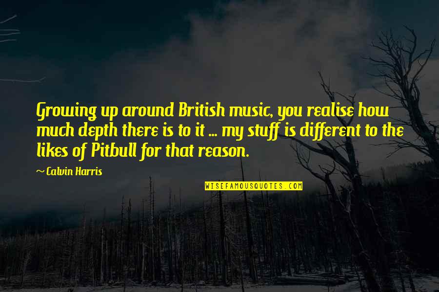 Different Likes Quotes By Calvin Harris: Growing up around British music, you realise how