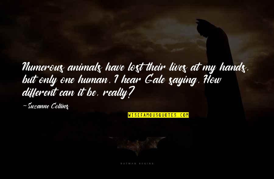 Different Lives Quotes By Suzanne Collins: Numerous animals have lost their lives at my