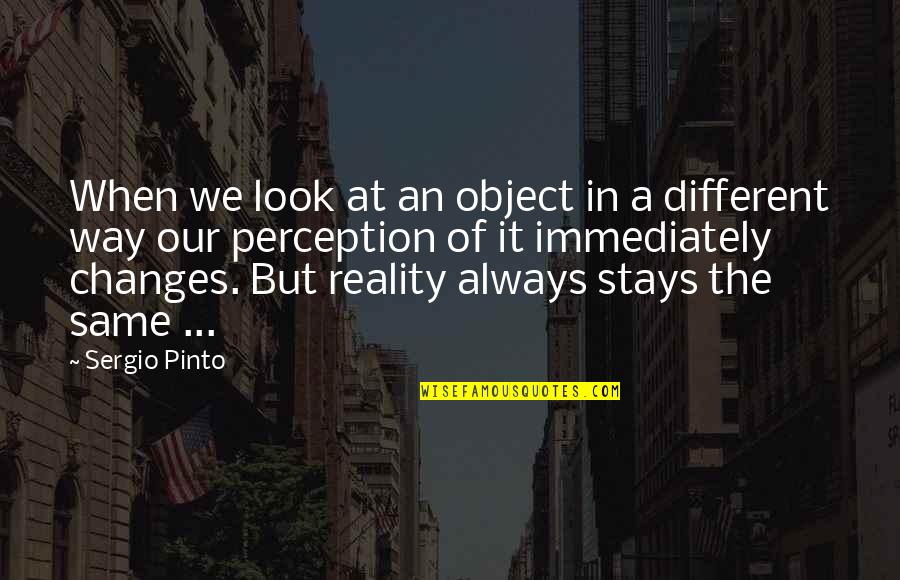 Different Look Quotes By Sergio Pinto: When we look at an object in a
