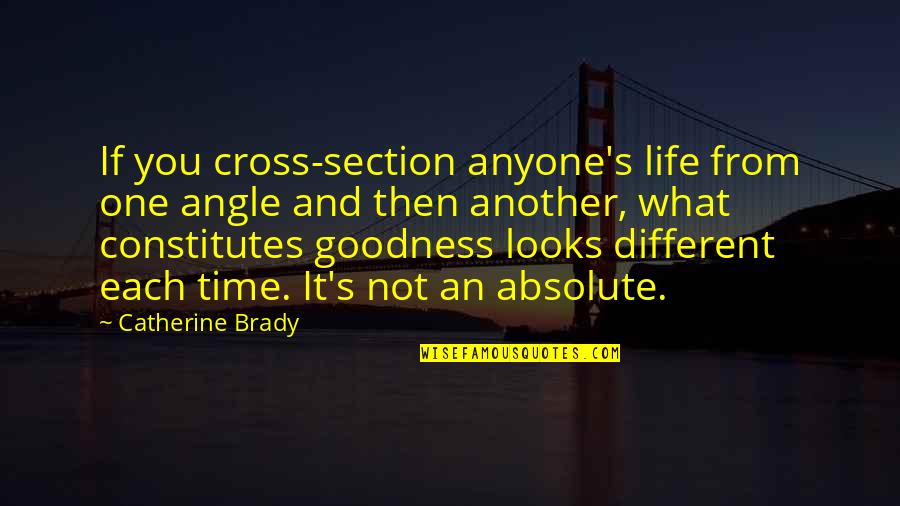 Different Looks Quotes By Catherine Brady: If you cross-section anyone's life from one angle