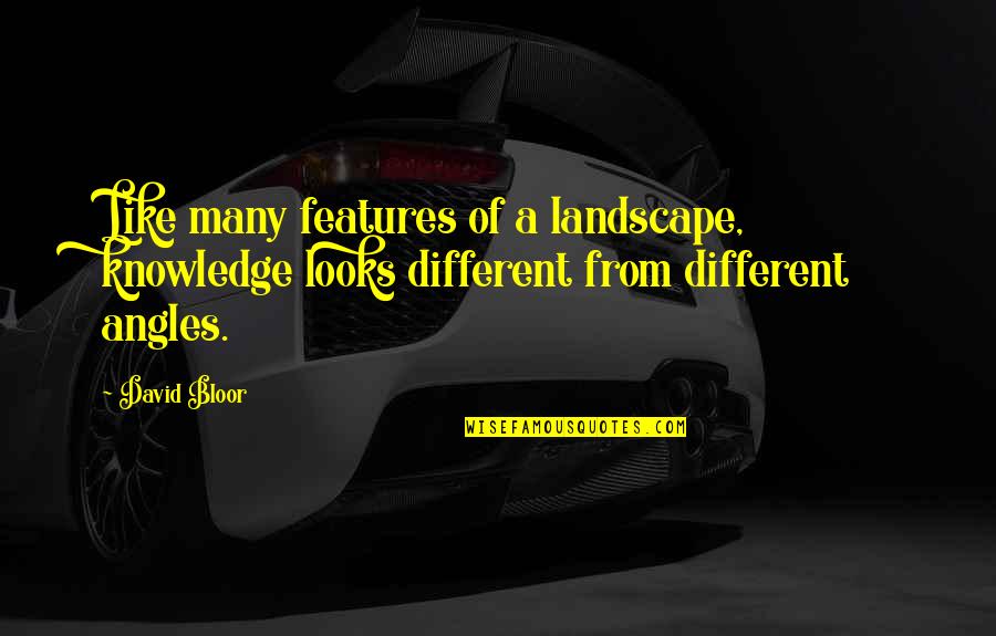 Different Looks Quotes By David Bloor: Like many features of a landscape, knowledge looks