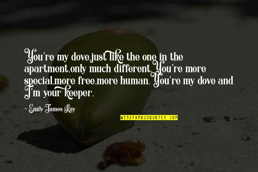 Different Love Quotes By Emily James Ray: You're my dove,just like the one in the