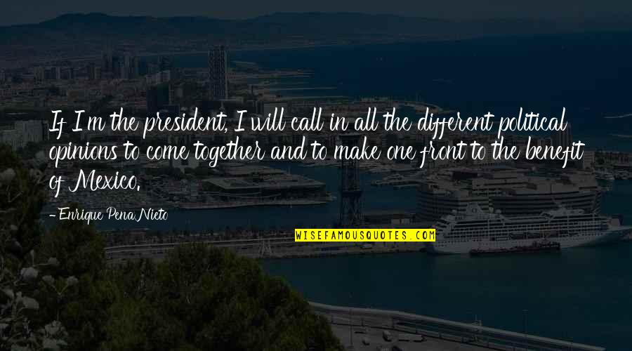 Different Opinions Quotes By Enrique Pena Nieto: If I'm the president, I will call in