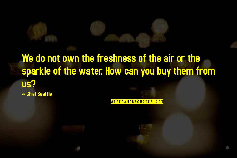 Different Peoples Quotes By Chief Seattle: We do not own the freshness of the