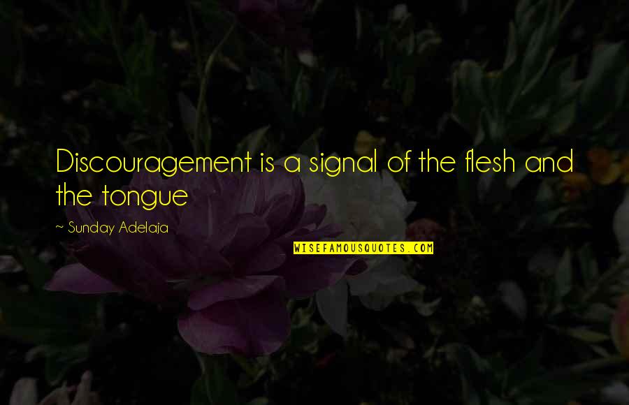 Different Religious Beliefs Quotes By Sunday Adelaja: Discouragement is a signal of the flesh and