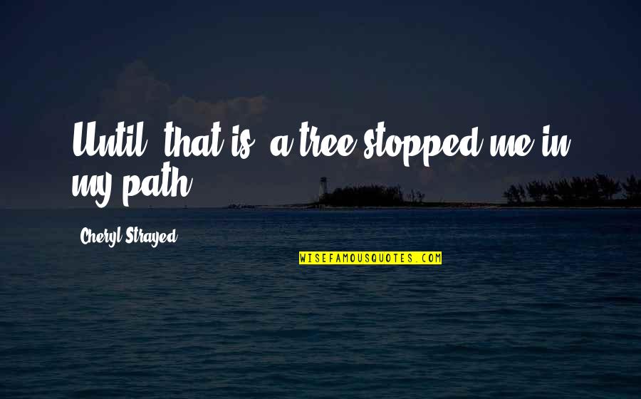 Different Shapes Quotes By Cheryl Strayed: Until, that is, a tree stopped me in