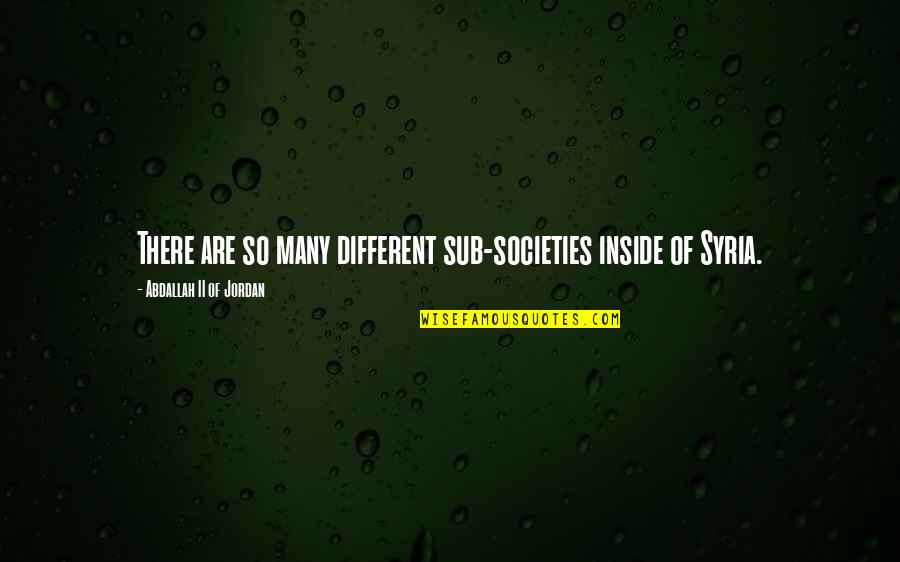 Different Societies Quotes By Abdallah II Of Jordan: There are so many different sub-societies inside of