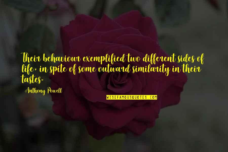 Different Tastes Quotes By Anthony Powell: Their behaviour exemplified two different sides of life,